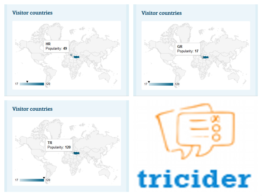 Tricider eTwinning project Digital Citizen - How and Why