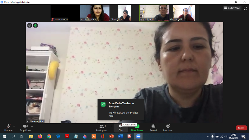 eTwinning project Little Defenders of the Earth online meeting