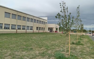 Okoliš škole