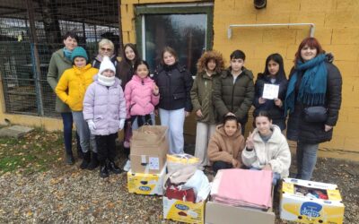 DONACIJA ČAKOVEČKOM SKLONIŠTU ZA NAPUŠTENE PSE ‘PRIJATELJI’