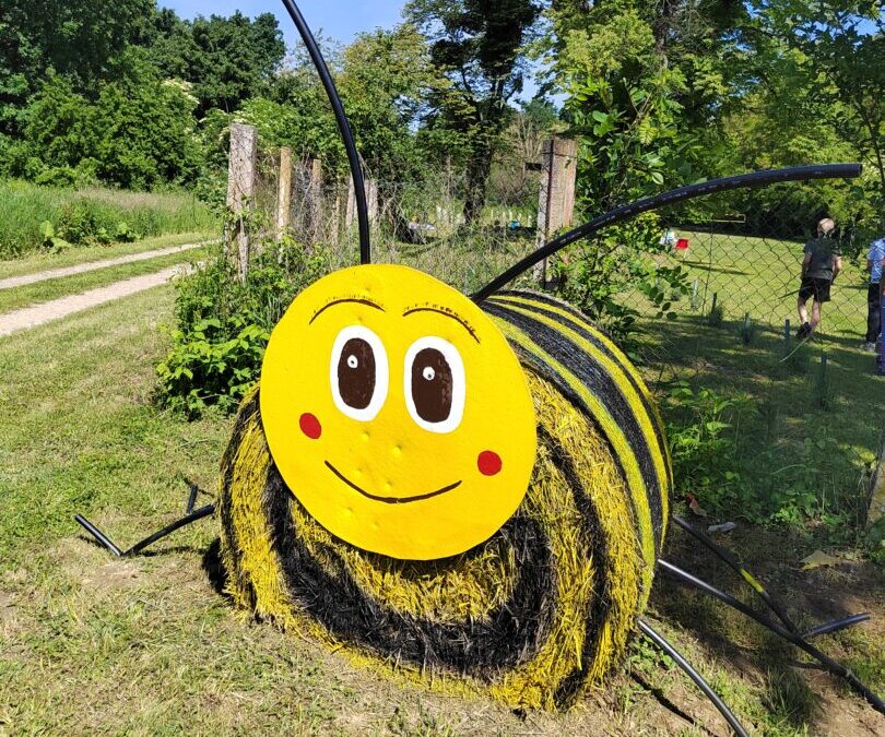 OBILJEŽILI SMO MEĐUNARODNI DAN PČELA